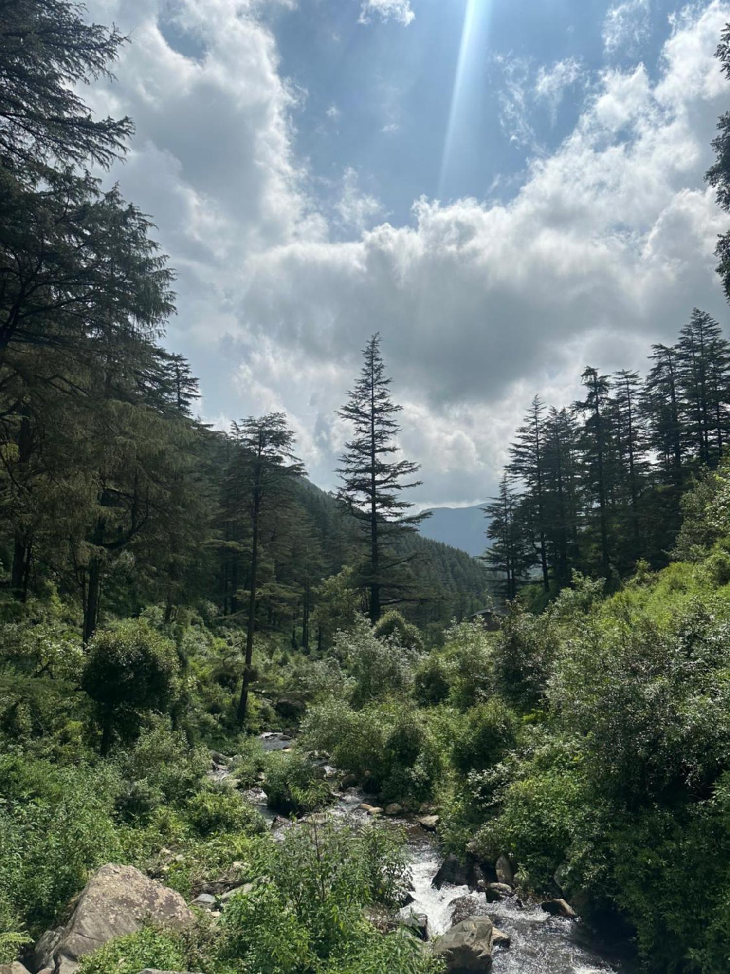 Deodar Village Homestay Devalsari Mussoorie Exterior foto